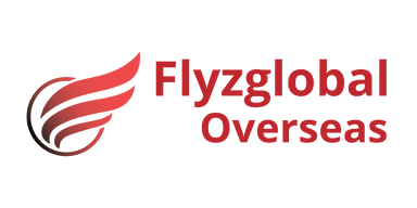 FlyzGlobal logo - Best Immigration Consultant