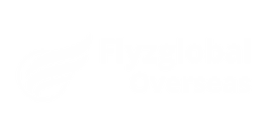 FlyzGlobal logo - Best Immigration Consultant